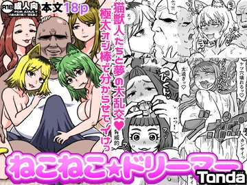 ねこねこ☆ドリーマー [ShiftAltOn]