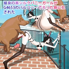 細身の黒シルクバニーガールがG4653のバルコニーで太った豚に犯された [妊娠中の美巨人]
