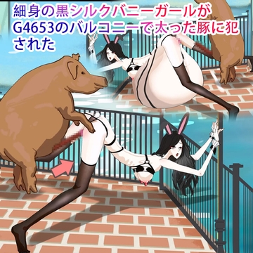 細身の黒シルクバニーガールがG4653のバルコニーで太った豚に犯された [妊娠中の美巨人]
