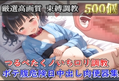 【豪華特典あり】くノ一つるぺた○リ調教 おいろけの術習得、特別指導の巻【500枚】 [ないとぽけっと]