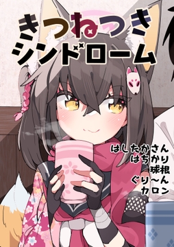 きつねつきシンドローム [はしたか式住居]