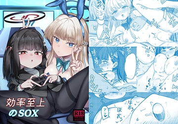 効率至上のSOX [DIUDADA]