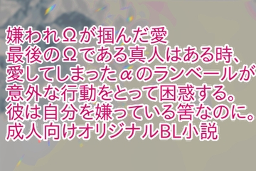 嫌われΩが掴んだ愛 [彩愛]