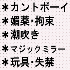 ヤキモチ焼きのドS若社長に健気なDK(カントボーイ)がおしおき監禁調教される話 [いくらどんぶり]