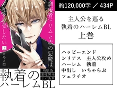 調停者ドリムと赤の悪魔は平和を享受したい 上 [墓守さんチーム]