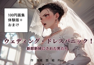 100円画集「ウェディング・ドレスパニック！新郎新婦にされた男たち、体験版+おまけ」 [真城のソフトハウス]