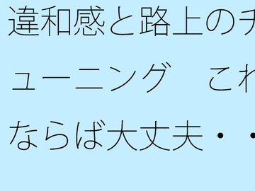 違和感と路上のチューニング これならば大丈夫・・・というのがない [サマールンルン]