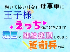 動いてはいけない仕事中に、王子様にえっちなことをされて涙目で連続絶頂してしまう近衛兵の話 [乃南]