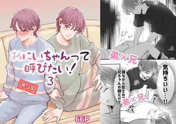おにいちゃんって呼びたい！3 [あいこす]