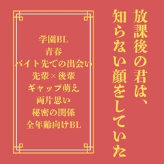 放課後の君は、知らない顔をしていた [LOVELOVEパレット(全年齢版)]