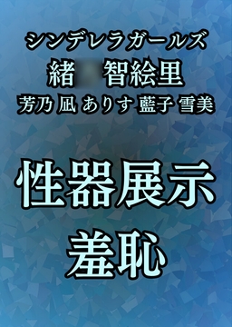羞恥・性器展覧会 智絵里たちの処女穴大公開 [高牧園]