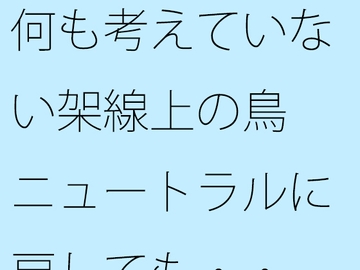 何も考えていない架線上の鳥 ニュートラルに戻しても・・ [サマールンルン]