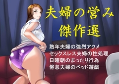 夫婦の営み傑作選 [S Partners]