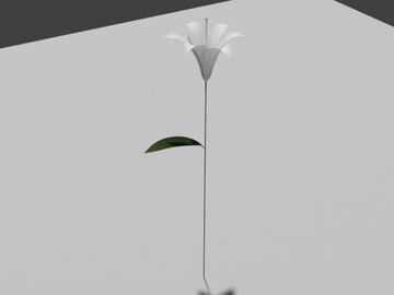 ささゆり [Visha]