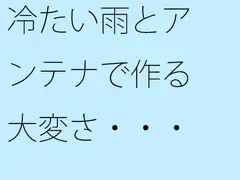 冷たい雨とアンテナで作る大変さ・・・見えなくなるのを小刻みの冷静さで