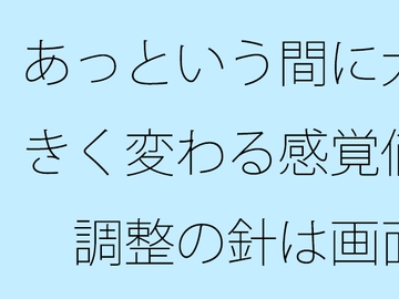 あっという間に大きく変わる感覚値 調整の針は画面をオーバーしながら左右に・・ [サマールンルン]