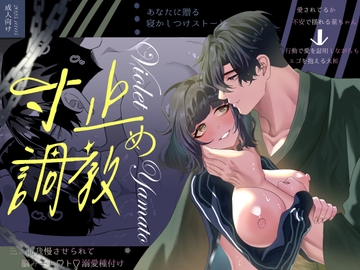 寸止め調教〜三日間我慢させられて、脳みそトロトロ溺愛種付け〜 [星のハム]