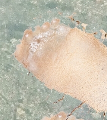 Mujer Giganta al Volver a Dormir [Sbartsoon]