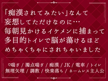 「痴○されてみたい」なんて妄想してただけなのに…毎朝見かけるイケメンに捕まって、多目的トイレで脳が蕩けるほどめちゃくちゃにされちゃいました [びたぁちょこれぇと]