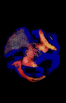 イベせかN→Y [BMTP]