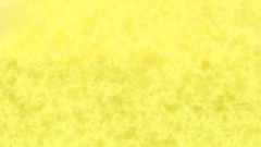 十月二十一 [不眠日]