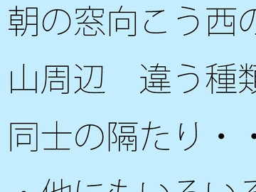 朝の窓向こう西の山周辺 違う種類同士の隔たり・・・他にもいろいろと・・ [サマールンルン]