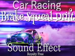 車 レース ブレーキ スキール 効果音 03 / 急ブレーキ ドリフトし始め等にも！ [Sanctuary]