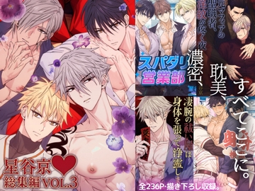 星谷京 総集編 VOL.3 [星谷京]