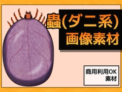 蟲(ダニ系) 画像素材～商用OK著作権フリー [商用利用OK素材]