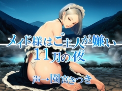 メイド様はご主人が嫌い 11月の夜 [近未来のふわふわ]