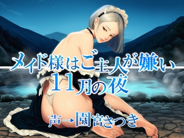 メイド様はご主人が嫌い 11月の夜 [fuwafuwa of the near future]