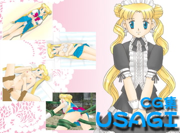 USAGI [邪道商会]