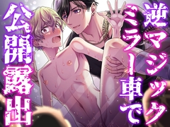 逆マジックミラー車で公開露出 [ROCHE]