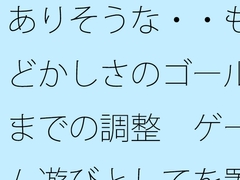 ありそうな・・もどかしさのゴールまでの調整 ゲーム遊びとしてを置いて・・・把握では分かりにくく [サマールンルン]