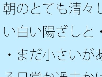 朝のとても清々しい白い陽ざしと・・まだ小さいがある日常か過去かはっきり分からない邪念の残り香 [サマールンルン]