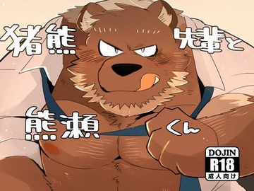 猪熊先輩と熊瀬くん [こけもも]