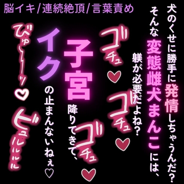 【脳イキ/連続絶頂/言葉責め】雌犬まんこに淫語責め♡ [よるてぃの欲求]