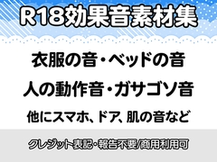 【R18効果音・クレジット表記不要】生々しすぎる衣服の音・ベッドの音・動作音・なんかガサゴソした音の効果音素材集 [りりすたじお]