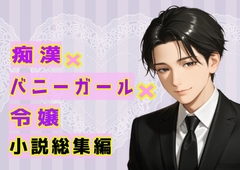 痴○×バニーガール×令嬢小説総集編 [癒し処ピンク]