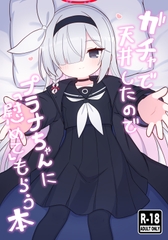 ガチャで天井したのでプラナちゃんに「慰めて」もらう本 [ケモミミちゃん屋]