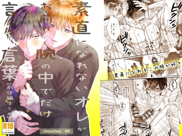 『素直になれないオレが、お前の腕の中でだけ言える言葉』ココロ君シリーズ [chouchou]