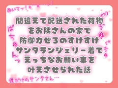 間違えて配送された荷物をお隣さんの家で防御力ぜろのすけすけサンタランジェリー着てえっちなお願い事を叶えさせられた話 [ぴんくいろの本]