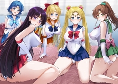 セラムン毒本 [華ディスコ]