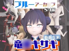 【5動画】ブルアカの竜◯キサキが調教されたり肉便器になったりする動画パック【ブルアカ:ブルーアーカ◯ブ】 [Parallel]
