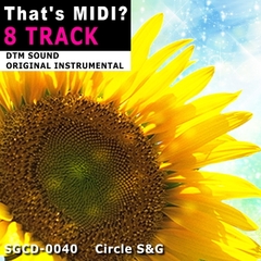 That’s MIDI? [Circle S&G]