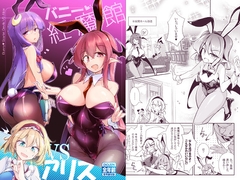 バニー紅魔館VSアリス [踏月]