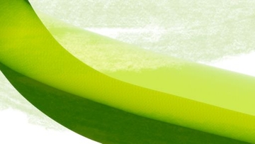 一月十三 [不眠日]