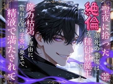 聖夜に拾った瀕死の悪魔は、絶倫な種付け魔王でした〜魔力枯渇を理由に、疲れたOLの子宮の奥まで精液で満たされて〜 [Your Horny World]