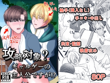 攻略対象?ギャルゲーの主人公ですが！? [犬乃屋]