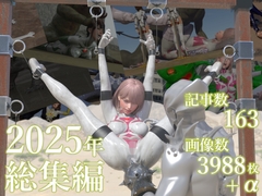 tsumayoji研究所 2025年 総集編 [tsumayoji研究所]